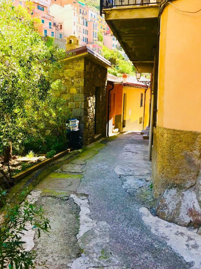 La Chiocciola Villa Manarola Exteriör bild